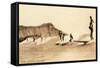 Surf Riding, Hawaii, Photo-null-Framed Stretched Canvas