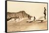 Surf Riding, Hawaii, Photo-null-Framed Stretched Canvas