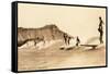 Surf Riding, Hawaii, Photo-null-Framed Stretched Canvas