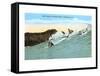 Surf Riding, Waikiki, Hawaii-null-Framed Stretched Canvas