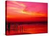 Surf Rolling onto Beach at Sunset-Mick Roessler-Stretched Canvas