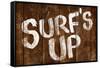 Surf's Up Wood-Style-null-Framed Stretched Canvas