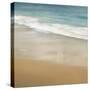 Surf & Sand I-John Seba-Stretched Canvas