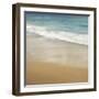 Surf & Sand I-John Seba-Framed Art Print