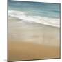 Surf & Sand I-John Seba-Mounted Art Print