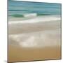 Surf & Sand II-John Seba-Mounted Art Print