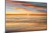 Surf & Sand-John Seba-Mounted Art Print