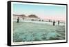 Surf Scene, Old Orchard, Maine-null-Framed Stretched Canvas