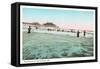 Surf Scene, Old Orchard, Maine-null-Framed Stretched Canvas