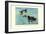 Surf Scoter Ducks-Allan Brooks-Framed Art Print