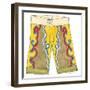 Surf Shorts (CI) III-Jennifer Goldberger-Framed Art Print