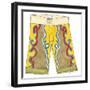 Surf Shorts (CI) III-Jennifer Goldberger-Framed Art Print