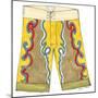 Surf Shorts (CI) III-Jennifer Goldberger-Mounted Art Print