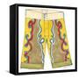 Surf Shorts (CI) III-Jennifer Goldberger-Framed Stretched Canvas