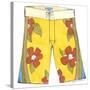 Surf Shorts (CI) IV-Jennifer Goldberger-Stretched Canvas