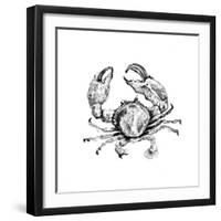 Surf Side Sketch I-Patricia Pinto-Framed Art Print