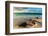 Surf surging towards boulders buried in sand on a tropical beach. Anse Victorin Beach, Seychelles.-Sergio Pitamitz-Framed Photographic Print