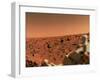 Surface of Mars from Viking 2, with Part of Spacecraft Visible-null-Framed Photographic Print