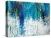 Surface of the Lake-Liz Jardine-Stretched Canvas