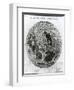 Surface of the Moon, Selenotopographische Fragmente by Schroeter, c.1791-null-Framed Giclee Print