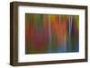 Surface of the water-Mallorie Ostrowitz-Framed Photographic Print