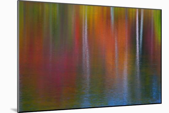 Surface of the water-Mallorie Ostrowitz-Mounted Photographic Print