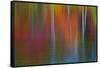 Surface of the water-Mallorie Ostrowitz-Framed Stretched Canvas