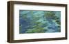 Surface Reflections-Margaret Juul-Framed Art Print