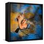 Surface Tension-Ursula Abresch-Framed Stretched Canvas