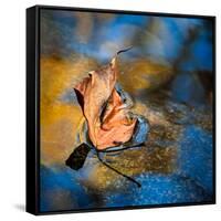 Surface Tension-Ursula Abresch-Framed Stretched Canvas