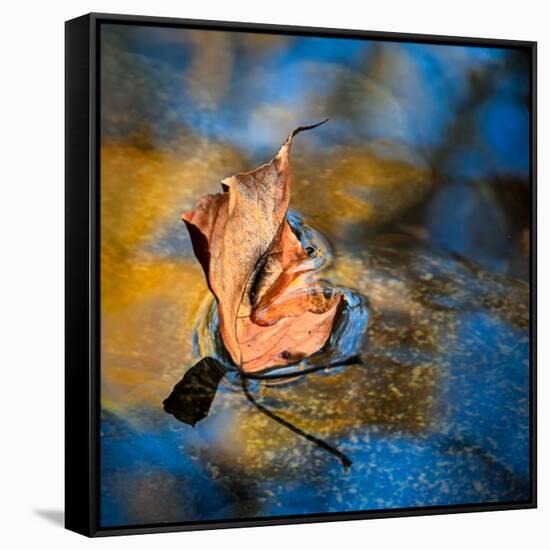 Surface Tension-Ursula Abresch-Framed Stretched Canvas