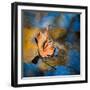 Surface Tension-Ursula Abresch-Framed Photographic Print