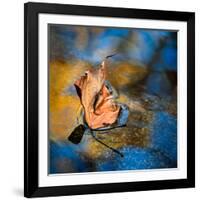 Surface Tension-Ursula Abresch-Framed Photographic Print