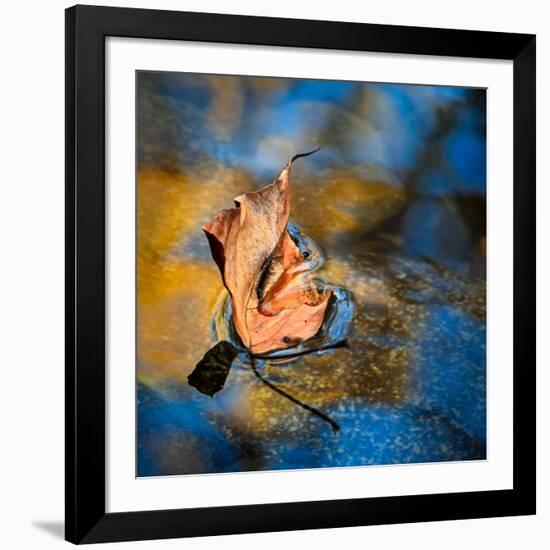 Surface Tension-Ursula Abresch-Framed Photographic Print