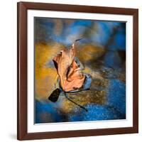 Surface Tension-Ursula Abresch-Framed Photographic Print