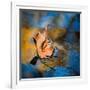 Surface Tension-Ursula Abresch-Framed Photographic Print