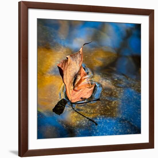 Surface Tension-Ursula Abresch-Framed Photographic Print