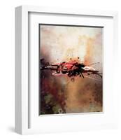 Surfaces Pt.2-Paul Jackson-Framed Art Print