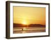 Surfacing Orca Whales, San Juan Islands, Washington, USA-Stuart Westmoreland-Framed Premium Photographic Print