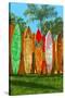 Surfboard Fence-Lantern Press-Stretched Canvas