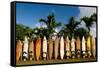Surfboards Decoration in Garden, Huelo, Hawaii-Sergi Reboredo-Framed Stretched Canvas