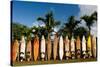 Surfboards Decoration in Garden, Huelo, Hawaii-Sergi Reboredo-Stretched Canvas