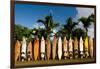Surfboards Decoration in Garden, Huelo, Hawaii-Sergi Reboredo-Framed Premium Photographic Print
