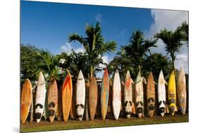 Surfboards Decoration in Garden, Huelo, Hawaii-Sergi Reboredo-Mounted Premium Photographic Print