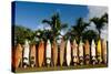 Surfboards Decoration in Garden, Huelo, Hawaii-Sergi Reboredo-Stretched Canvas