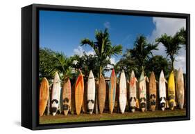 Surfboards Decoration in Garden, Huelo, Hawaii-Sergi Reboredo-Framed Stretched Canvas