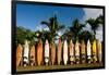 Surfboards Decoration in Garden, Huelo, Hawaii-Sergi Reboredo-Framed Photographic Print