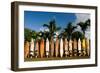 Surfboards Decoration in Garden, Huelo, Hawaii-Sergi Reboredo-Framed Premium Photographic Print