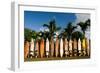 Surfboards Decoration in Garden, Huelo, Hawaii-Sergi Reboredo-Framed Premium Photographic Print