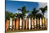 Surfboards Decoration in Garden, Huelo, Hawaii-Sergi Reboredo-Stretched Canvas